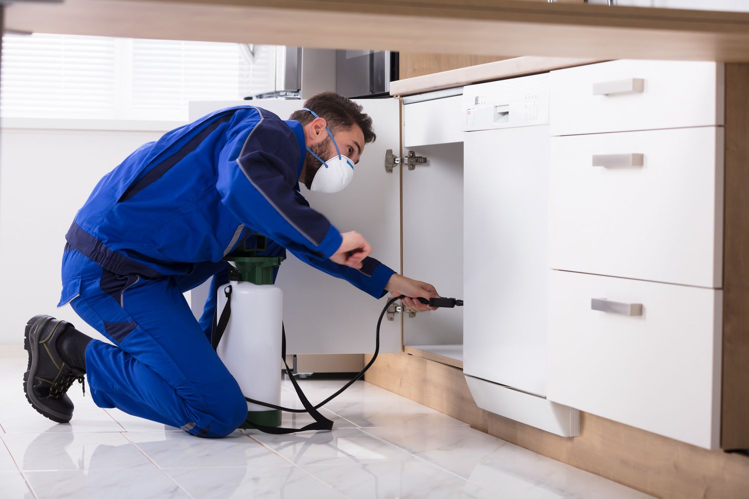 Spring Cleaning Pest Control